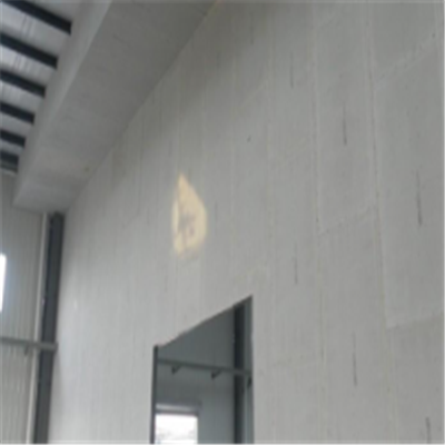 浦北宁波ALC板|EPS加气板隔墙与混凝土整浇联接的实验研讨